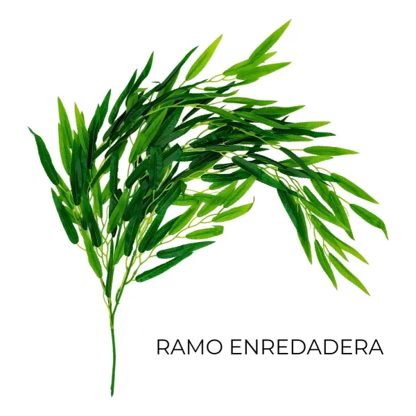 Enredadera Decorativa Ramo Planta X10u