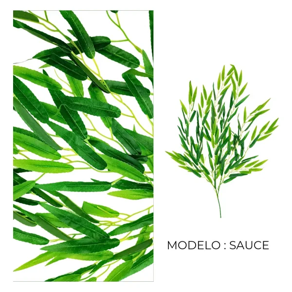 Enredadera Decotiva Ramo Planta X3u