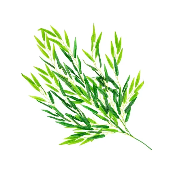 Enredadera Decorativa Ramo Planta X20u