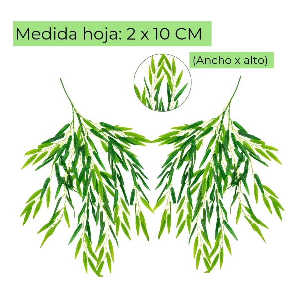 Enredadera Decotiva Ramo Planta Pack x5