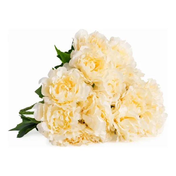 Ramo De Peonias Pack X3 Flores Artificiales 40cm Deco Hogar Champagne