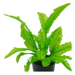 Jardin Vertical Artificial Ramo Planta Pack X10u Decoración