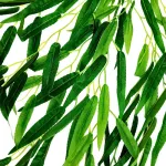 Enredadera Jardin Vertical Deco Ramo Plantax5unidades Diseño