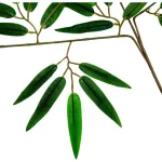 Jardin Vertical Artificial Ramo Planta Decorativa Verde X12