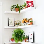 Enredadera Jardin Vertical Deco Ramo Planta X20u Diseño