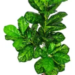 Planta Artificial Grande 130cm Ficus Decoracion Interior Ext Color Verde Claro