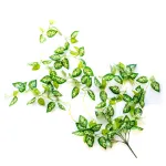 Enredadera Artificial Jardin Vertical Ramo Deco Planta