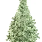Arbolito Navidad Canadian Pino Arbol Spruce Nevado 1.8mts