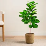 Planta Artificial Grande 130cm Ficus Decoracion Interior Ext Color Verde Claro