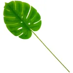 Planta Artificial Costilla De Adán Expreso Polar Verde 70cm