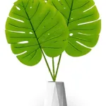 Planta Artificial Costilla De Adán Expreso Polar Verde 70cm