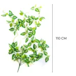 Enredadera Jardin Vertical Ramo Deco Pack X5unidades Diseño