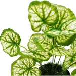 Jardin Vertical Ramo Planta Decorativa Planta Artificial X5u