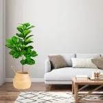 Ficus Artificial 130cm Verde Claro Expreso Polar Con Maceta Decorativa