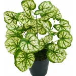 Jardin Vertical Ramo Planta Decorativa Planta Artificial X5u