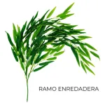 Enredadera Jardin Vertical Deco Ramo Planta X10u Diseño
