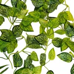 Enredadera Jardin Vertical Ramo Deco Pack X5unidades Diseño