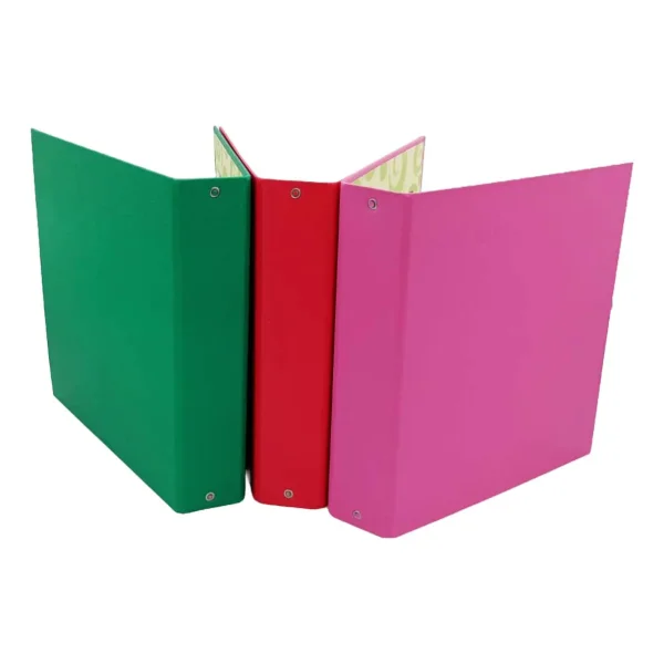 Carpeta Escolar Pvc Numero 3 Avios Color N3 Ganchos Pack X5