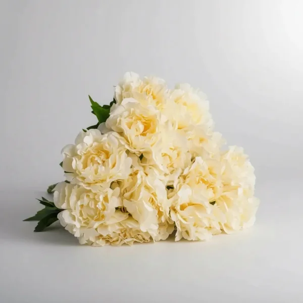 Ramo De Peonias Flores Artificiales 40cm Decoracion Calidad Champagne