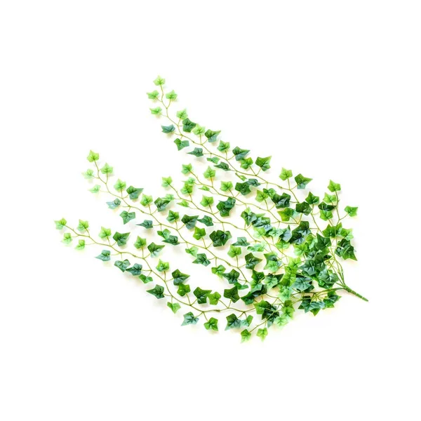 Jardin Vertical Ramo Enredadera Planta Deco X3u Diseño