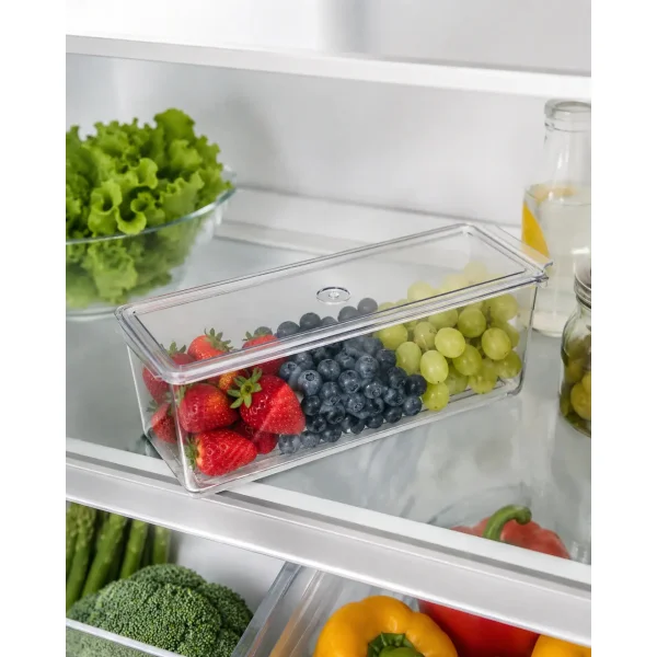 Organizador Heladera Contenedor Multiuso Con Tapa 30x10x10 Transparente