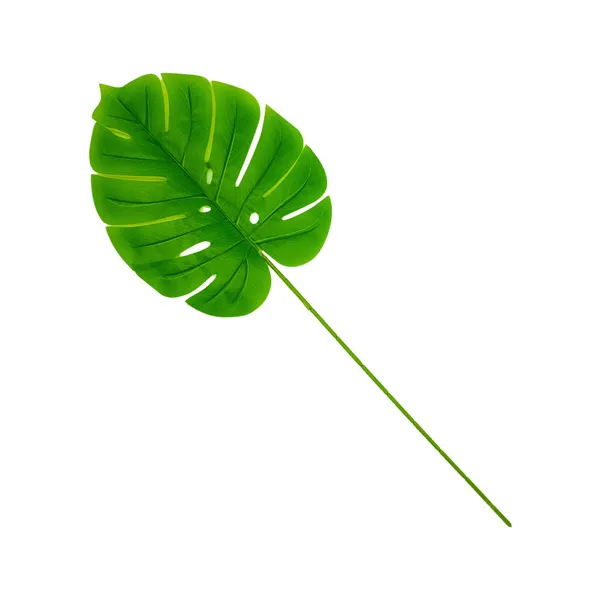 Planta Artificial Hoja Monstera Costilla De Adan X3 Unidades