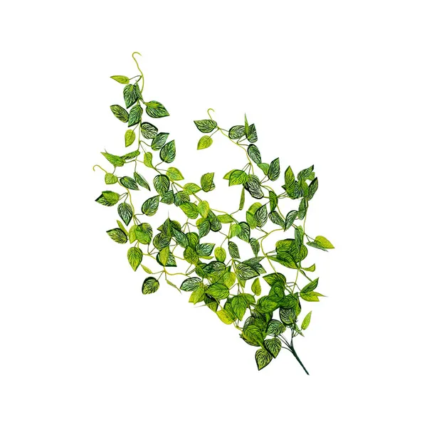 Enredadera Jardin Vertical Ramo Deco Pack X3 Unidades Diseño