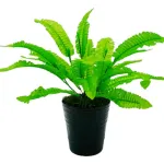 Jardin Vertical Artificial Ramo Planta Pack X10u Decoración