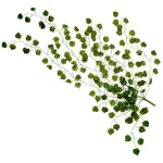 Enredadera Artificial Ramo Jardin Vertical Deco Planta