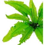 Jardin Vertical Artificial Ramo Planta Pack X10u Decoración