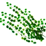 Jardin Vertical Ramo Enredadera Planta Deco X3u Diseño