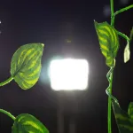 Jardín Vertical Enredaderas Artificial 2,05mt X12u 