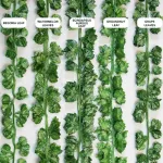 Jardin Vertical Enredadera Hojas Artificiales 2,05mt X48u.