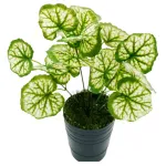 Jardin Vertical Ramo Planta Decorativa Planta Artificial