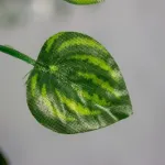 Jardin Vertical Enredaderas Hojas Artificiales 2,05mts