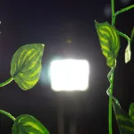 Jardin Vertical Enredadera Hojas Artificiales 2,05mts