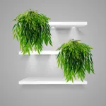 Enredadera Jardin Vertical Deco Ramo Plantax5unidades Diseño