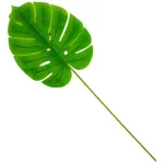 Planta Artificial Hoja Monstera Costilla De Adan