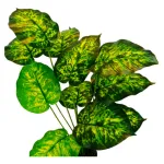 Jardin Vertical Artificial Planta P/ Maceta X5u Diseño