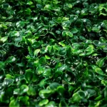 Jardin Vertical Artificial Muro Verde X40u Decoración