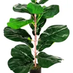 Planta Artificial 60cm Ficus Decoracion Interior Exterior Color Verde Oscuro