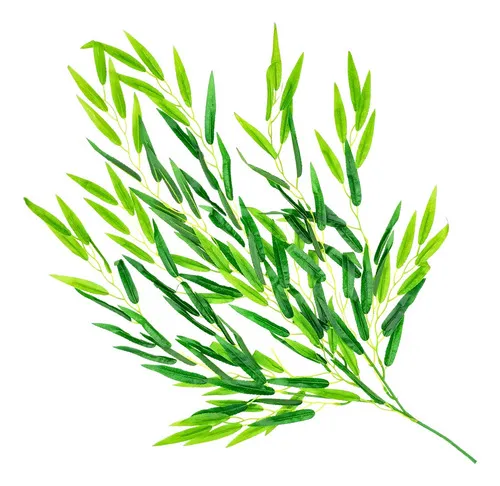 Producto Enredadera Jardin Vertical Deco Ramo Planta X3u Diseño Imagen