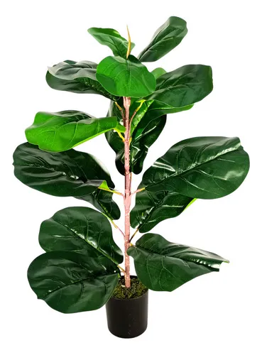 Producto Planta Artificial Ficus 60cm Verde Oscuro Expreso Polar Interior Exterior Imagen